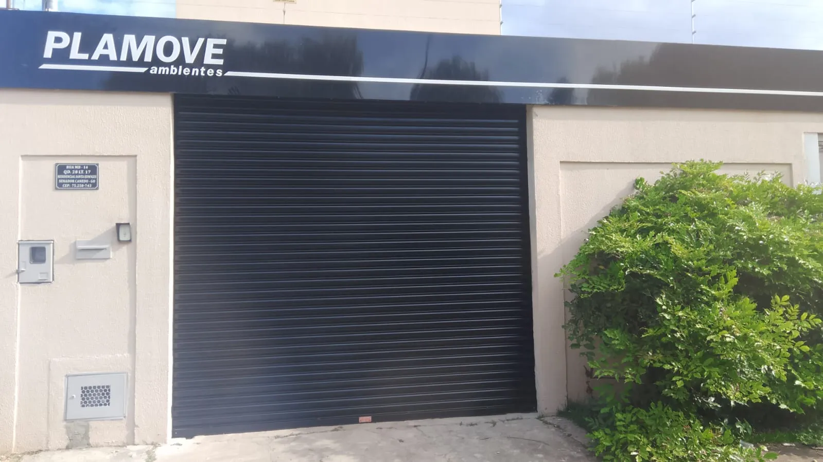 Plamove